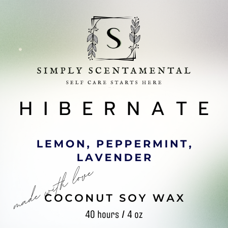 Hibernate Coconut Soy Candle