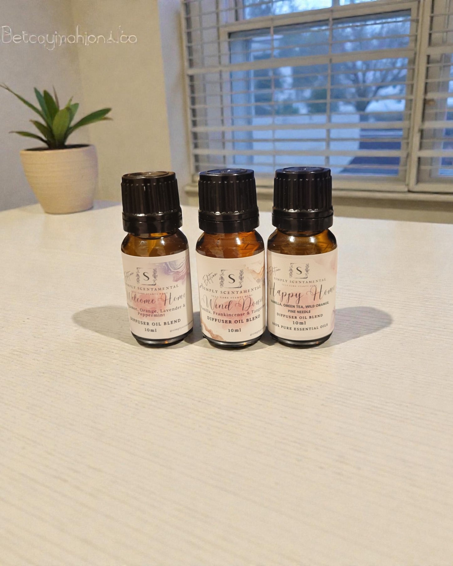 Diffuser Blends-Home Edition (Varioius Scents)