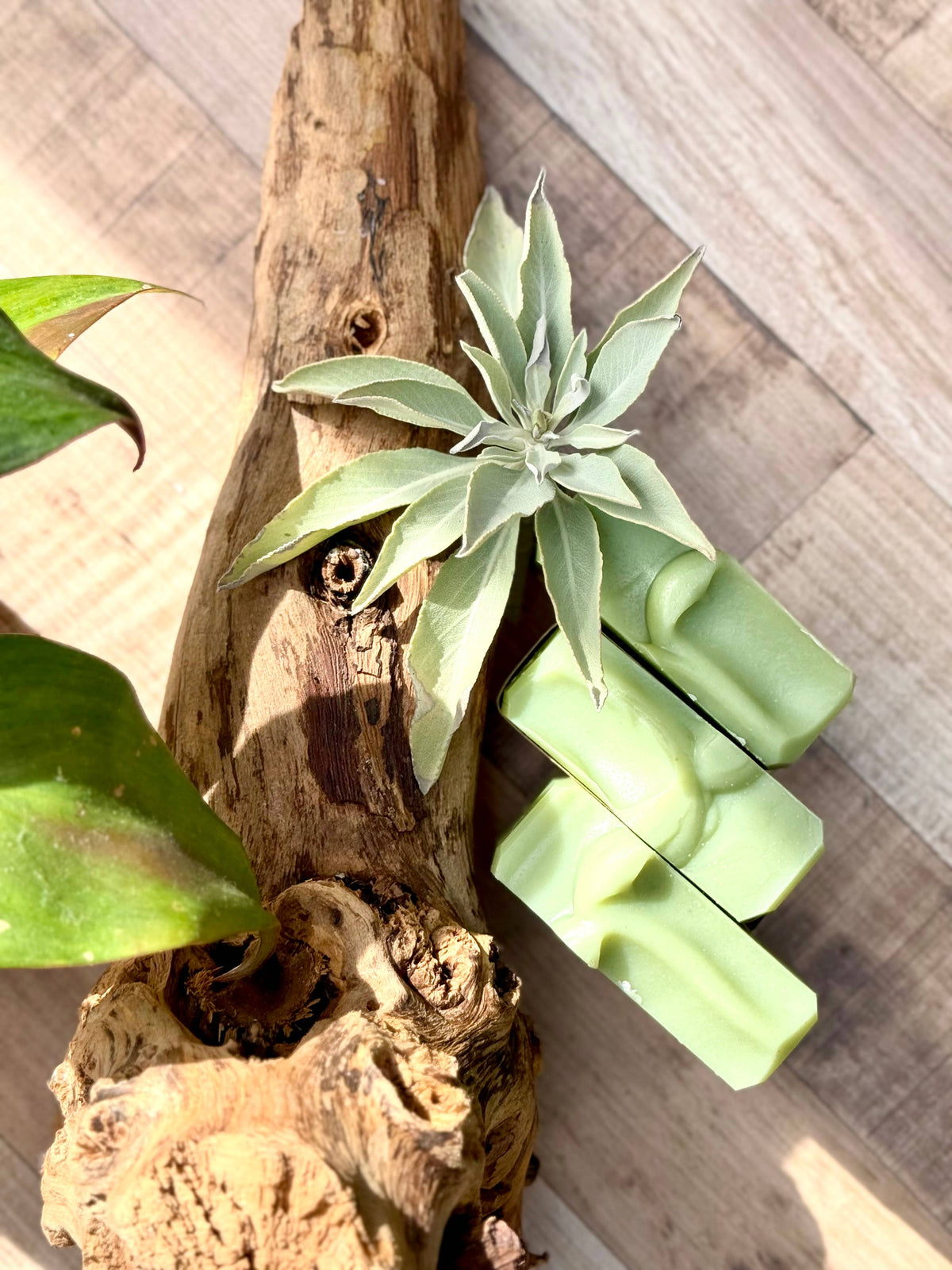 Wild Sage | Handcrafted Soap Bar