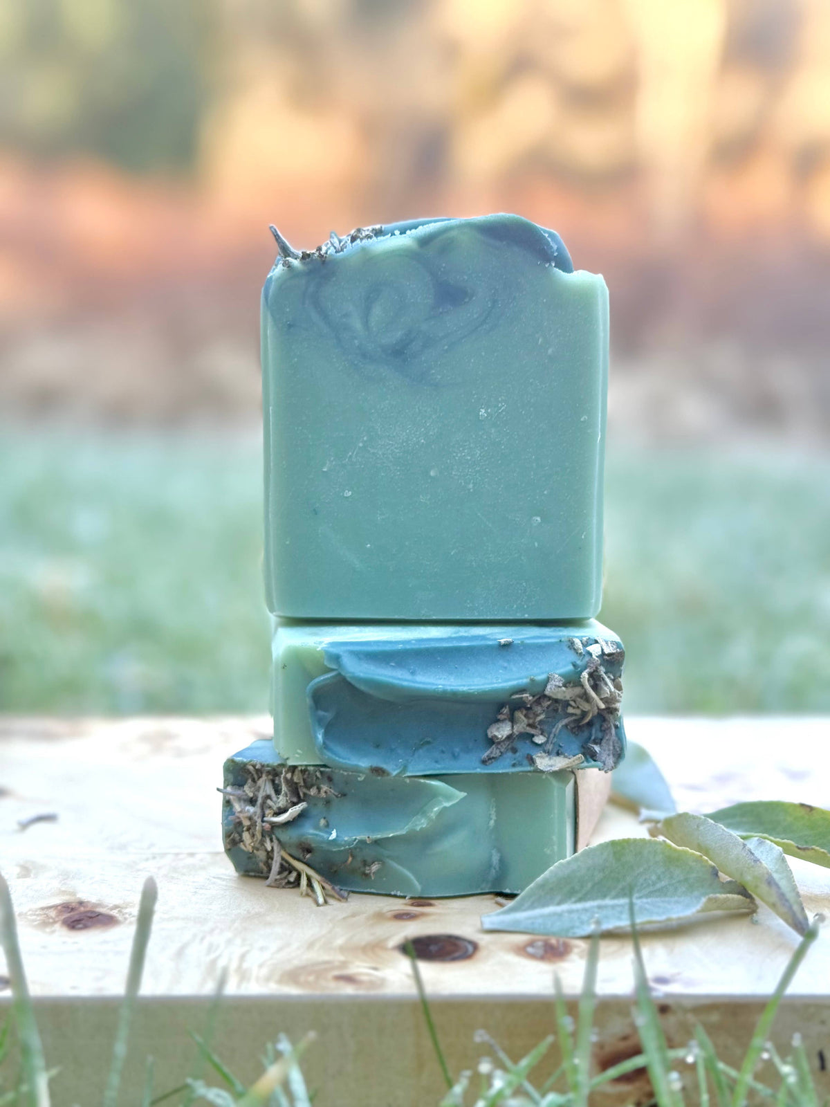 Pacific Northwest by Suds & Sage